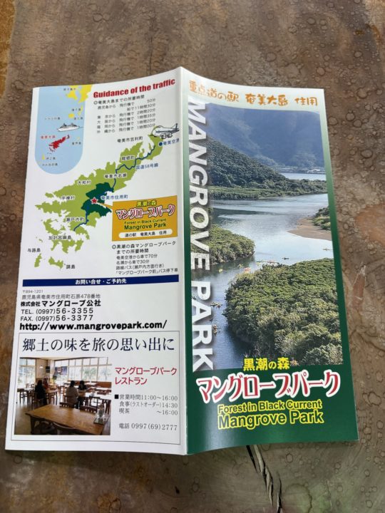★黒潮の森 マングローブパークで人生初カヌー体験！自然を感じる幸せな時間 口コミ 服装 レストラン 駐車場 トイレ 生き物 写真 奄美大島旅行 鹿児島旅行 鹿児島県