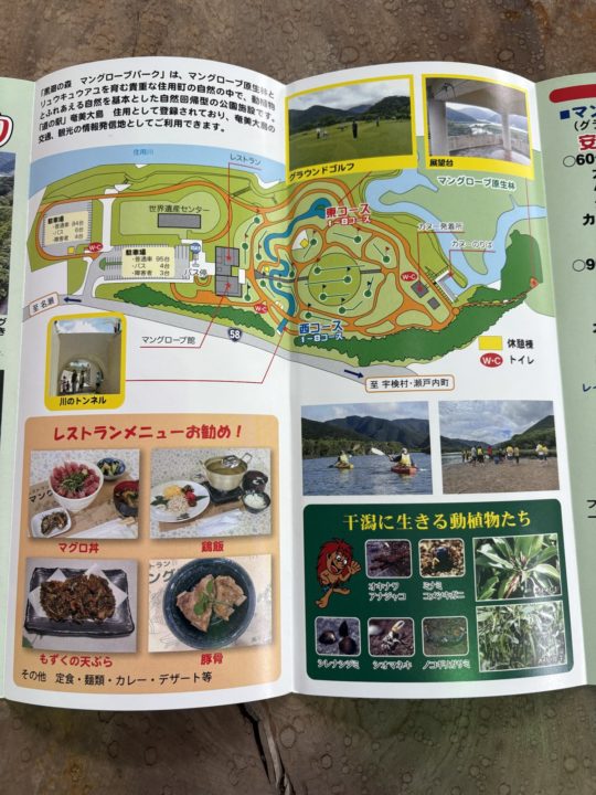 ★黒潮の森 マングローブパークで人生初カヌー体験！自然を感じる幸せな時間 口コミ 服装 レストラン 駐車場 トイレ 生き物 写真 奄美大島旅行 鹿児島旅行 鹿児島県
