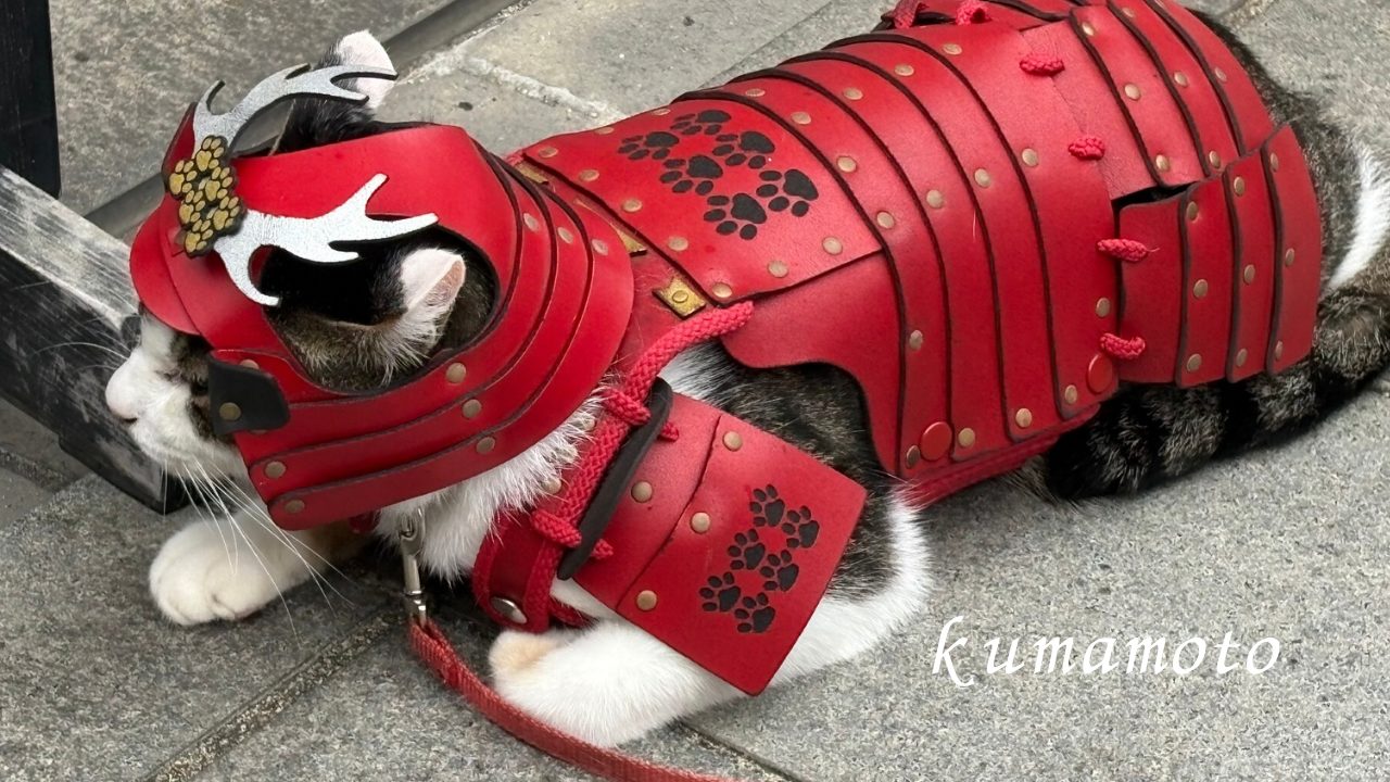 ★熊本城ミュージアムわくわく座 推し活・ぬい活にもオススメ！いろんな写真も撮れて楽しめました！