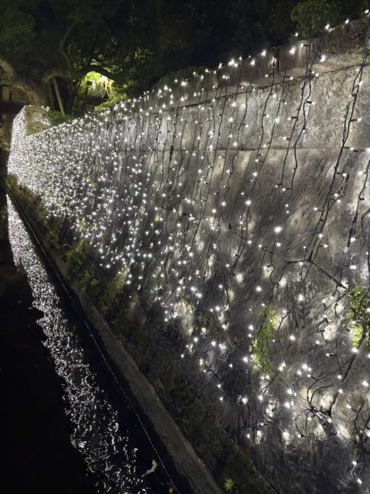 アンクス美術館イルミネーション＠鹿児島市立美術館 クリスマス 夜景