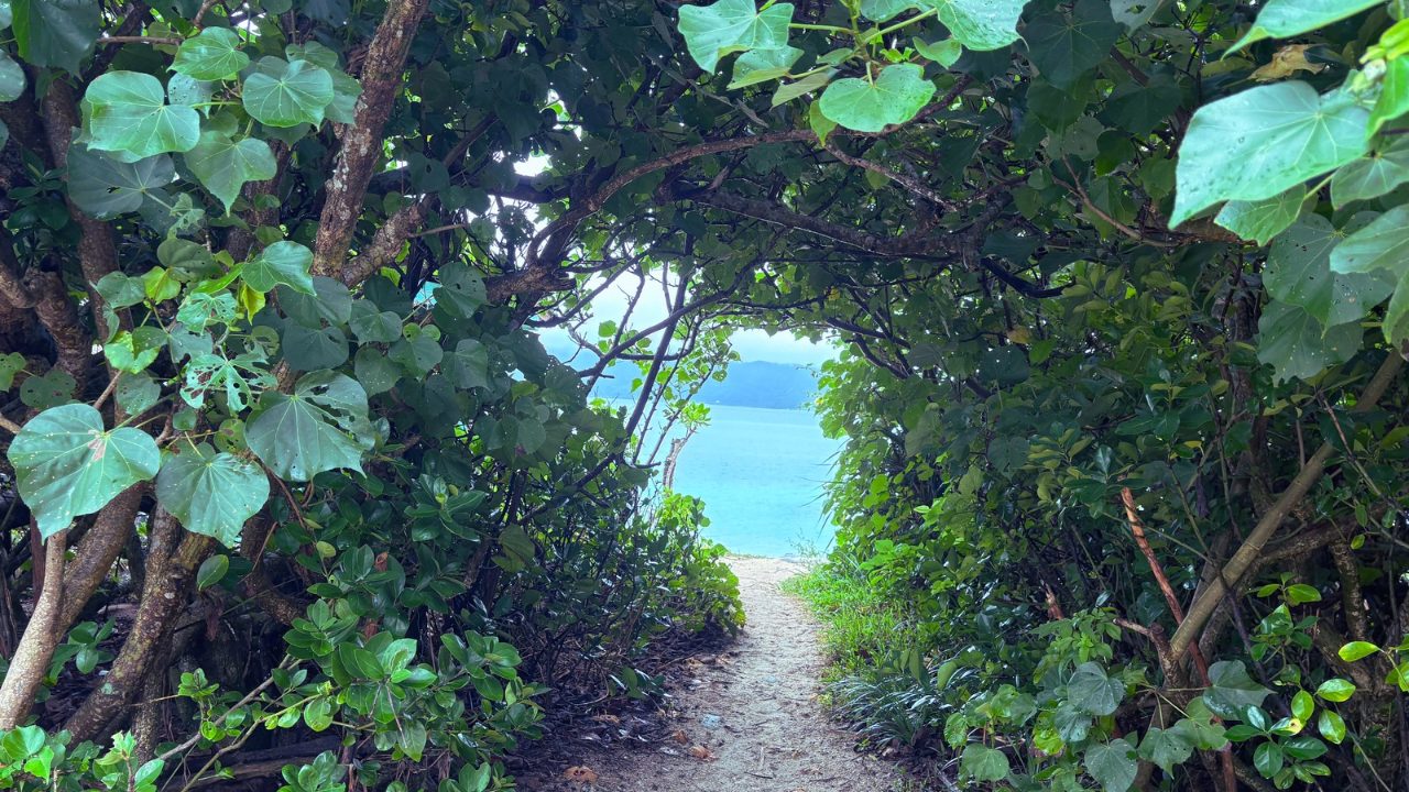 ★奄美大島旅行記 １日目 穴場の海岸！崎原ビーチでシュノーケリング 心配なシャワー・トイレ・無料駐車場情報も！