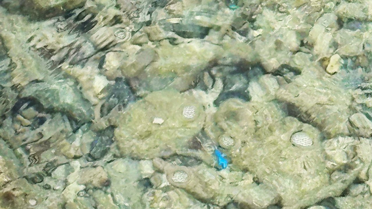 ★奄美大島旅行記 １日目 「大浜海浜公園」でシュノーケリング 夕陽がきれいで有名な場所 運がいいとウミガメに出会えることも！ビーチ 海岸