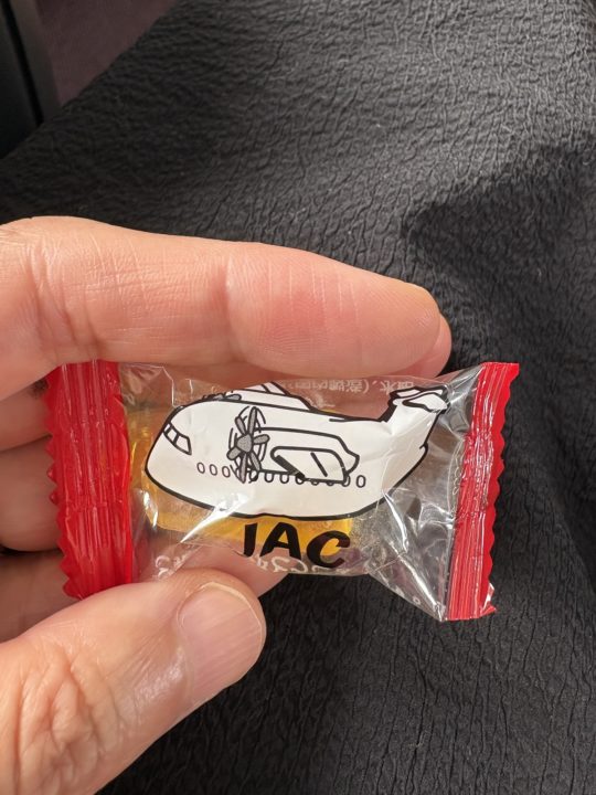 ★奄美大島旅行記 １日目 鹿児島空港から奄美大島空港へ