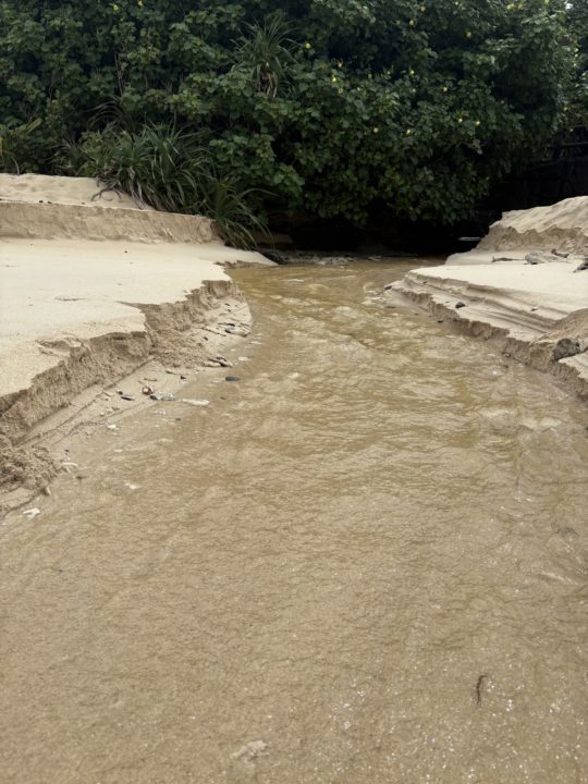 ★奄美大島旅行記 １日目 穴場の海岸！崎原ビーチでシュノーケリング 心配なシャワー・トイレ・無料駐車場情報も！