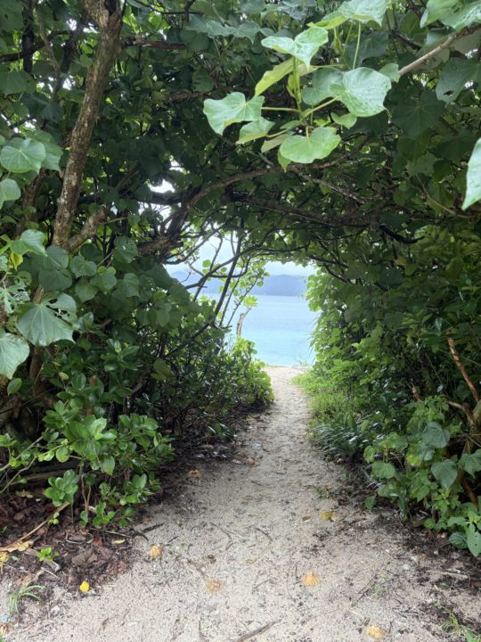 ★奄美大島旅行記 １日目 穴場の海岸！崎原ビーチでシュノーケリング 心配なシャワー・トイレ・無料駐車場情報も！