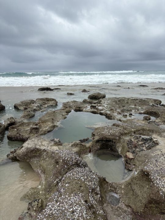 ★奄美大島旅行記 1日目 「ハートロック」干潮時間 行き方 どこ 場所 満潮 見頃 時間帯 潮位 駐車場 トイレ 看板 写真 強風
