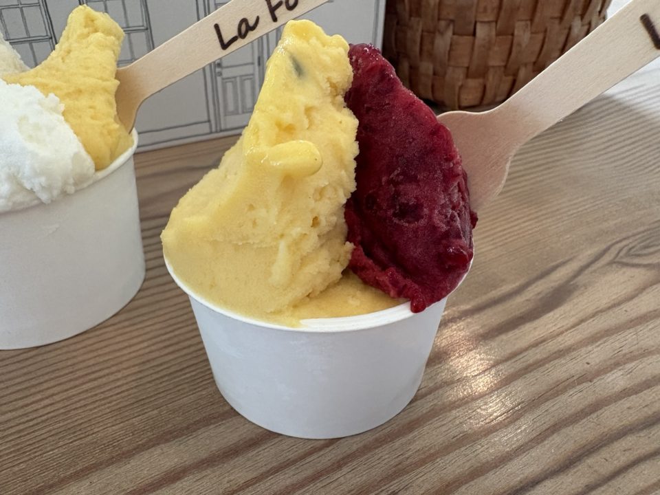 ★奄美大島旅行記 1日目 「ラフォンテ(LaFonte)」大人気ジェラート店でトリプル堪能!南国フルーツが最高です!食事 スイーツ メニュー おすすめ フレーバー オススメ