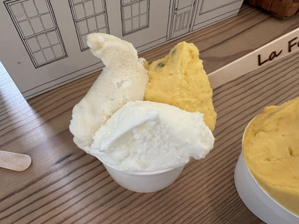 ★奄美大島旅行記 1日目 「ラフォンテ(LaFonte)」大人気ジェラート店でトリプル堪能!南国フルーツが最高です!食事 スイーツ メニュー おすすめ フレーバー オススメ