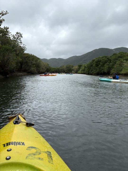 ★黒潮の森 マングローブパークで人生初カヌー体験！自然を感じる幸せな時間 口コミ 服装 レストラン 駐車場 トイレ 生き物 写真 奄美大島旅行 鹿児島旅行 鹿児島県