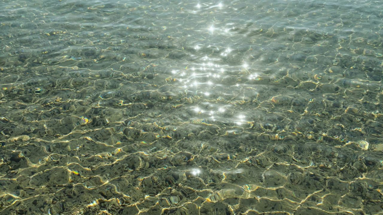 ★奄美大島旅行記 4日目 最終日プラン ベアードコーヒー カフェ 飛行機 観光名所 食事 スイーツ ホテル 鹿児島旅行 鹿児島県 2025年7月29日