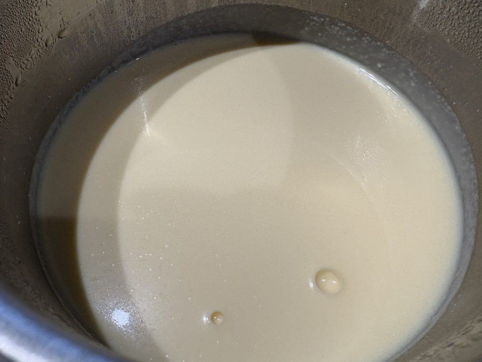 ★「ヨーグルトアイスクリーム」の作り方 レシピ 食べた感想