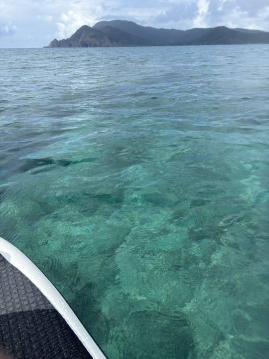 ★ヤドリ浜 奄美大島でウミガメを見たいならココ!トイレ、シャワー、駐車場、更衣室情報も!遠浅で初心者向けの透明度の高いキレイなビーチ 海水浴 シュノーケリング 旅行