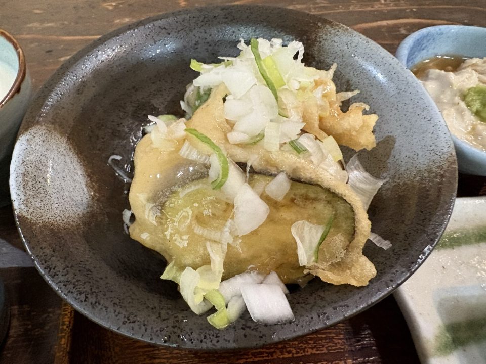 ★「島とうふ屋 奄美 高野」バナナマンのせっかくグルメで紹介直後にうかがった結果 駐車場 みき 日村さん テレビ番組 島豆腐 ボリューム トイレ 予約 奄美大島旅行 写真 鹿児島旅行 鹿児島県