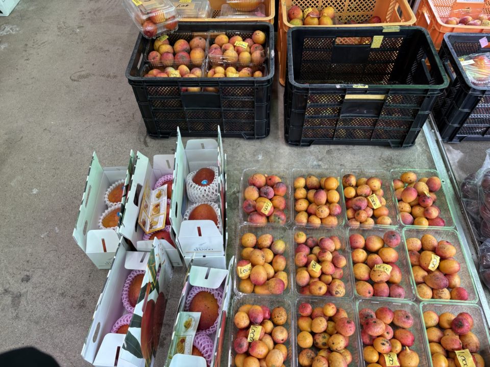 ★本当は教えたくない、お土産オススメ店「奥商店」レビュー 奄美市 写真 マンゴー パッションフルーツ オススメ時間帯 奄美大島旅行 観光名所 鹿児島旅行 鹿児島県 