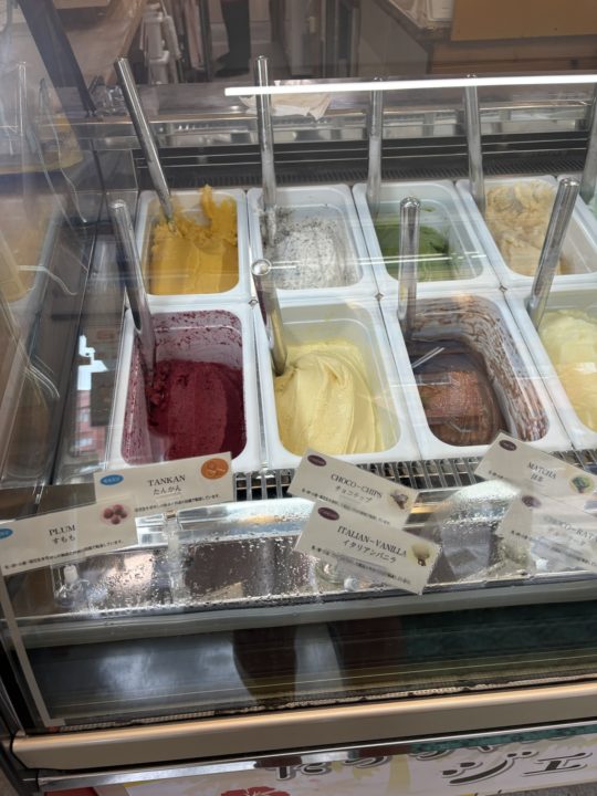 たっちゃんのジェラート(ジェラテリアアンティカ奄美店)」奄美大島素材がオススメ! 写真 メニュー 奄美大島 鹿児島旅行 旅行 鹿児島県