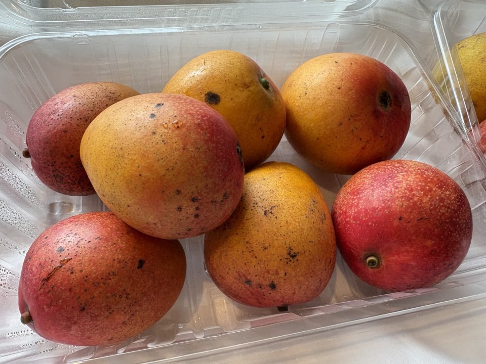 ★本当は教えたくない、お土産オススメ店「奥商店」レビュー 奄美市 写真 マンゴー パッションフルーツ オススメ時間帯 奄美大島旅行 観光名所 鹿児島旅行 鹿児島県 