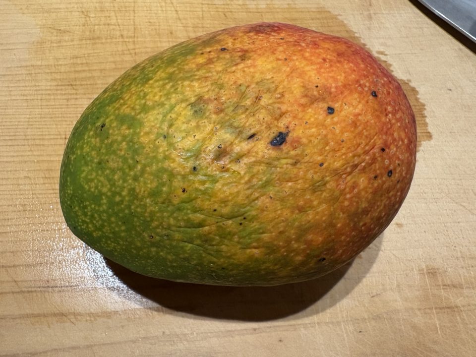 ★「マンゴージェラート」の作り方 レシピ マンゴーの切り方 食べごろ 旬 食べた感想