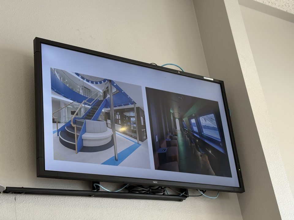 ★フェリーで行く、奄美大島！鹿児島から12時間かけて行く特別な体験！ 旅行 観光 所要時間 タイムスケジュール 台風 乗り場 予約 時刻表 運行状況 車