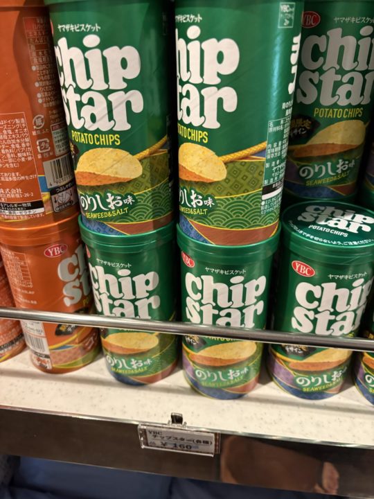 ★フェリーで行く、奄美大島！鹿児島から12時間かけて行く特別な体験！ 旅行 観光 所要時間 タイムスケジュール 台風 乗り場 予約 時刻表 運行状況 車