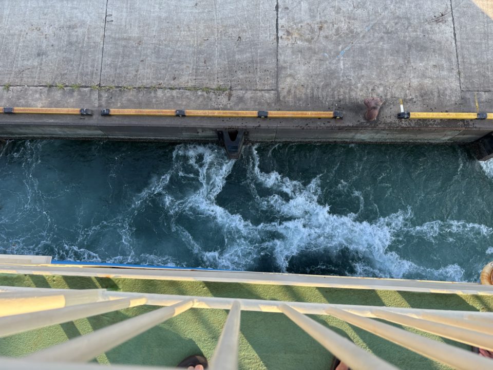 ★フェリーで行く、奄美大島！鹿児島から12時間かけて行く特別な体験！ 旅行 観光 所要時間 タイムスケジュール 台風 乗り場 予約 時刻表 運行状況 車