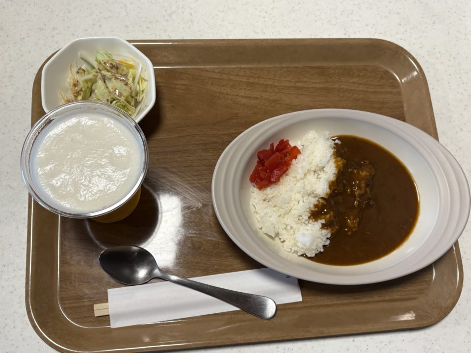 ★フェリーで行く、奄美大島！鹿児島から12時間かけて行く特別な体験！ 旅行 観光 所要時間 タイムスケジュール 台風 乗り場 予約 時刻表 運行状況 車