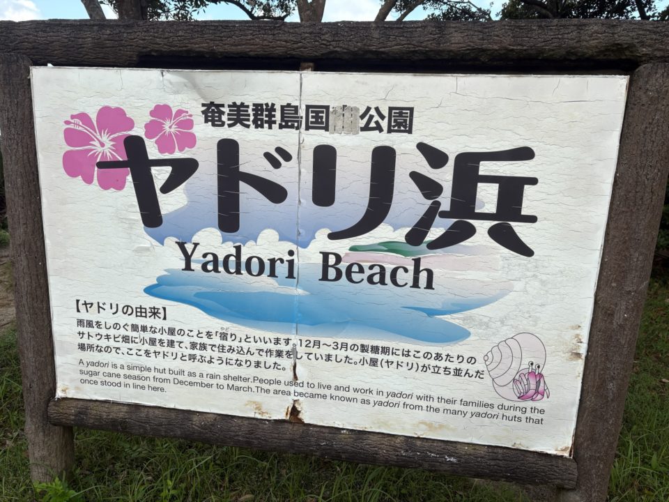 ★ヤドリ浜 奄美大島でウミガメを見たいならココ!トイレ、シャワー、駐車場、更衣室情報も!遠浅で初心者向けの透明度の高いキレイなビーチ 海水浴 シュノーケリング 旅行