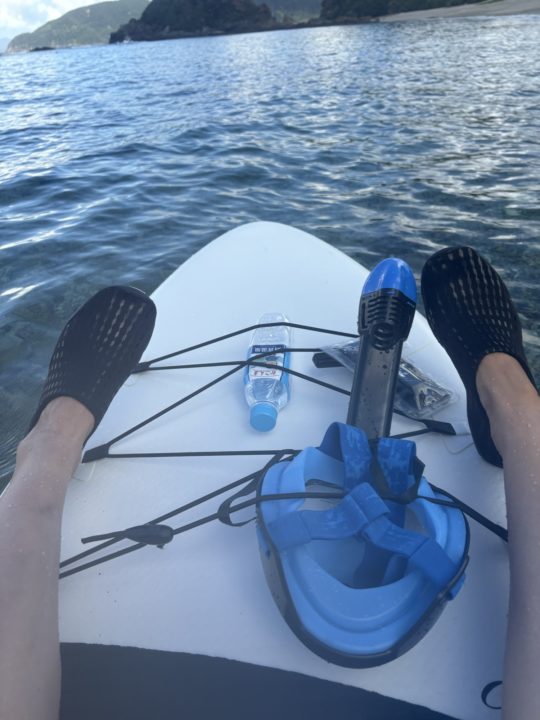 ★ヤドリ浜 奄美大島でウミガメを見たいならココ！トイレ、シャワー、駐車場、更衣室情報も！遠浅で初心者向けの透明度の高いキレイなビーチ 海水浴 シュノーケリング 旅行