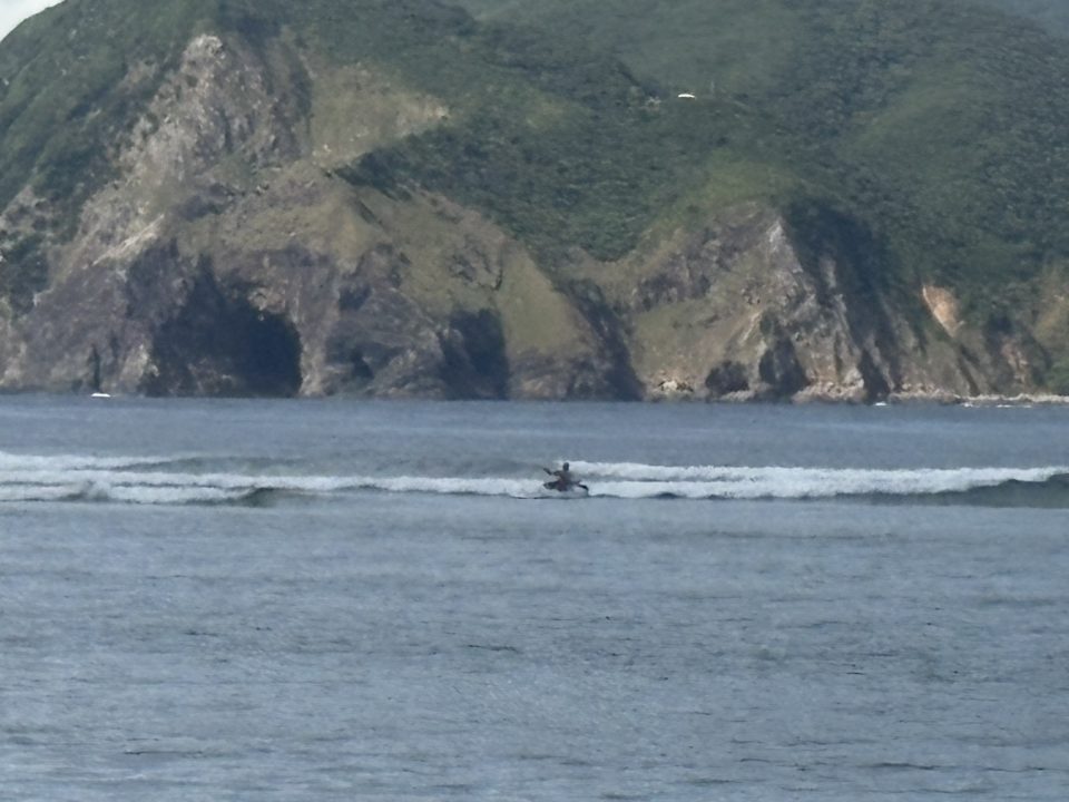 ★ヤドリ浜 奄美大島でウミガメを見たいならココ!トイレ、シャワー、駐車場、更衣室情報も!遠浅で初心者向けの透明度の高いキレイなビーチ 海水浴 シュノーケリング 旅行