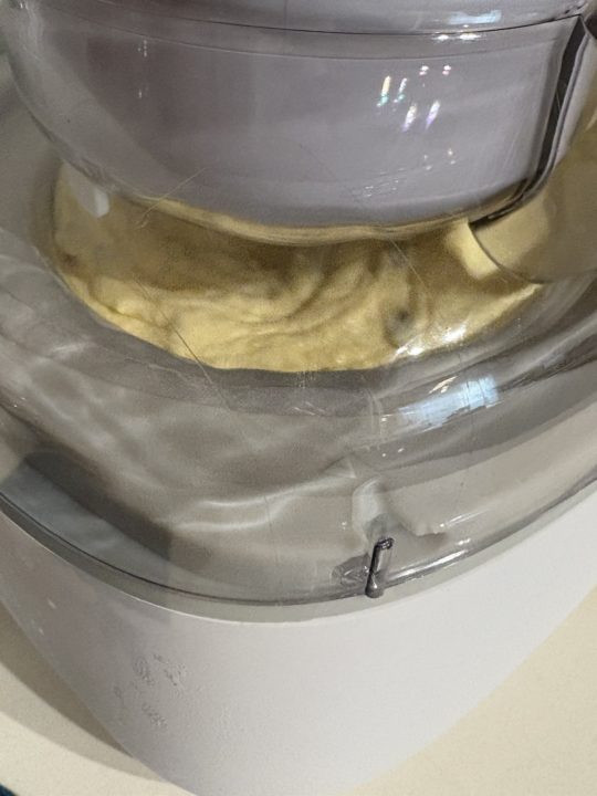 ★「パッションフルーツ・マンゴー・バナナジェラート」の作り方 レシピ 食べた感想