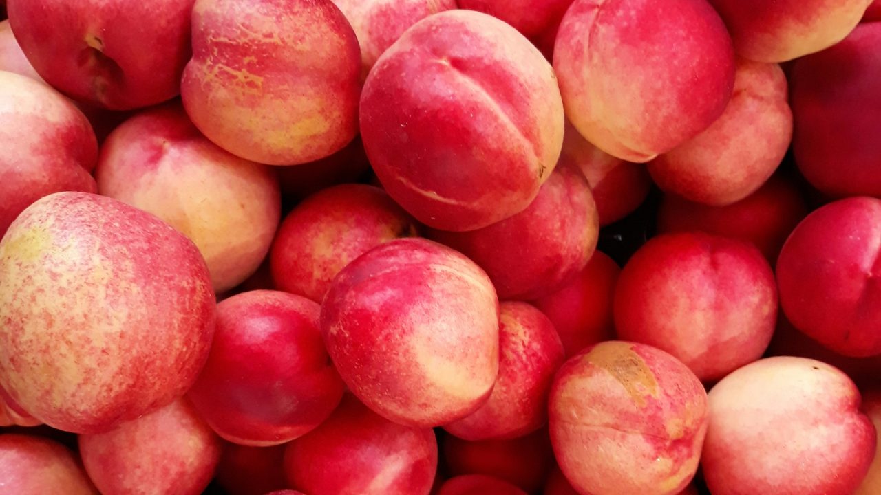 ★「白桃と白ワインのジェラート」の作り方 レシピ 食べた感想