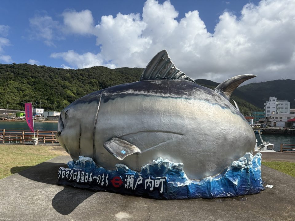★クロマグロ養殖日本一のまち 奄美大島 瀬戸内町 のオブジェ 隣の「せとうち海の駅」ではクロマグロ丼も食べられるそうです 駐車場・トイレ情報も！
