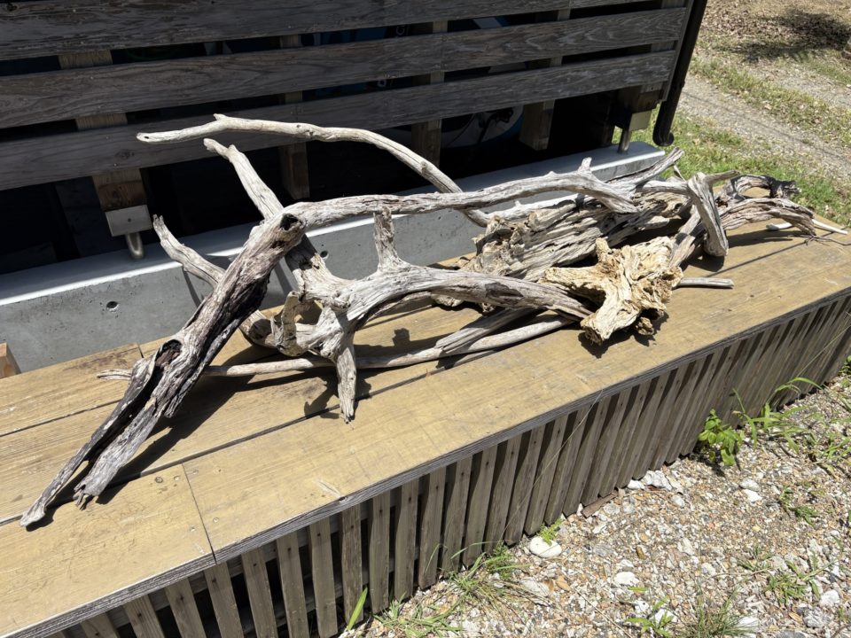 ★太陽の島カフェ 加計呂麻島ランチ！ 奄美大島で実久ビーチに向かう途中に立ち寄ったお店 旅行 カレー ドリア 駐車場 レビュー メニュー トイレ