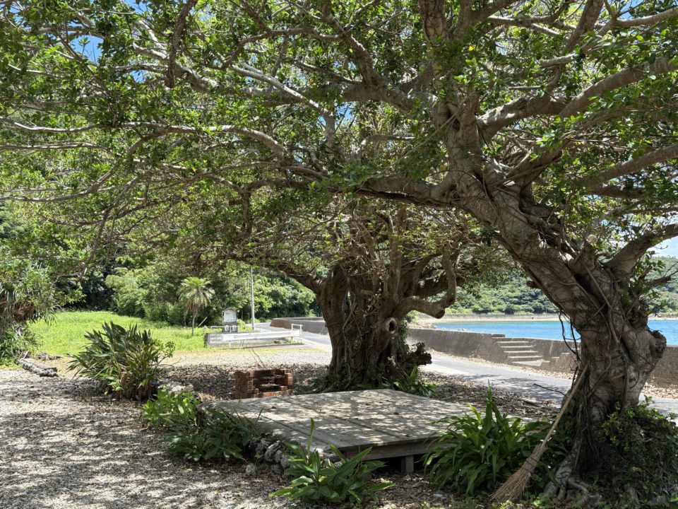 ★太陽の島カフェ 加計呂麻島ランチ！ 奄美大島で実久ビーチに向かう途中に立ち寄ったお店 旅行 カレー ドリア 駐車場 レビュー メニュー トイレ