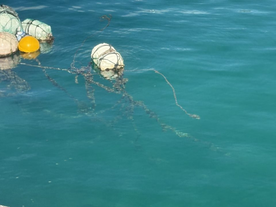 ★一生のうちでもう一度行くならココ！西阿室海岸 奄美大島 加計呂麻島でウミガメを見た美しすぎるスポット！シャワー、トイレ、駐車場上場も！ 旅行 海水浴 シュノーケリング