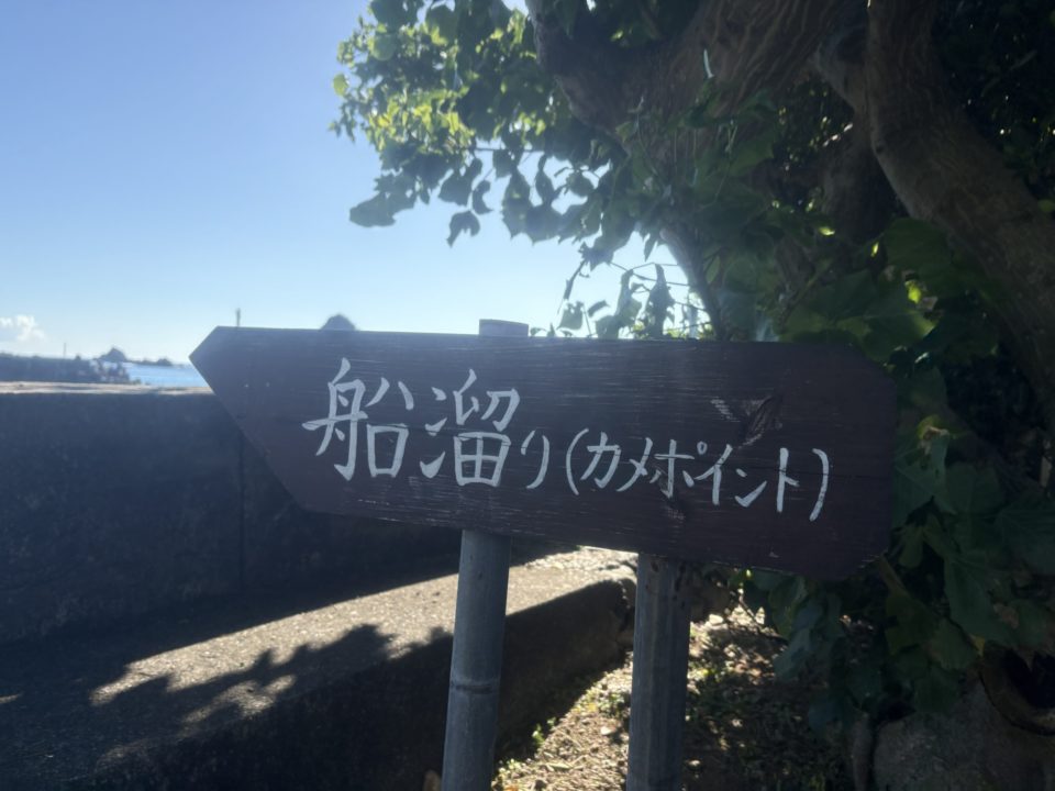 ★一生のうちでもう一度行くならココ！西阿室海岸 奄美大島 加計呂麻島でウミガメを見た美しすぎるスポット！シャワー、トイレ、駐車場上場も！ 旅行 海水浴 シュノーケリング