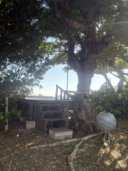 ★一生のうちでもう一度行くならココ！西阿室海岸 奄美大島 加計呂麻島でウミガメを見た美しすぎるスポット！シャワー、トイレ、駐車場上場も！ 旅行 海水浴 シュノーケリング