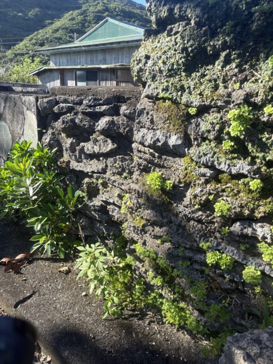★一生のうちでもう一度行くならココ！西阿室海岸 奄美大島 加計呂麻島でウミガメを見た美しすぎるスポット！シャワー、トイレ、駐車場上場も！ 旅行 海水浴 シュノーケリング