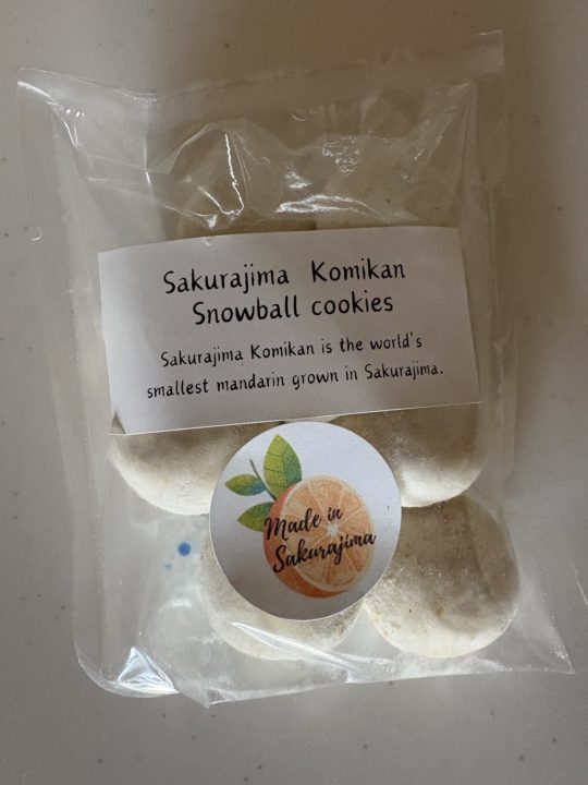 ★「道の駅 桜島 火の島めぐみ館」桜島港フェリーターミナルから歩いていける観光地 鹿児島 写真付きレビュー