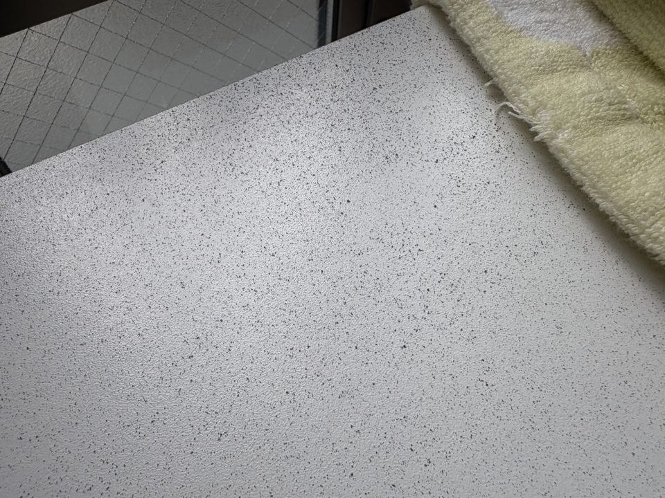 ★鹿児島に引っ越して知った、桜島の火山灰との生活