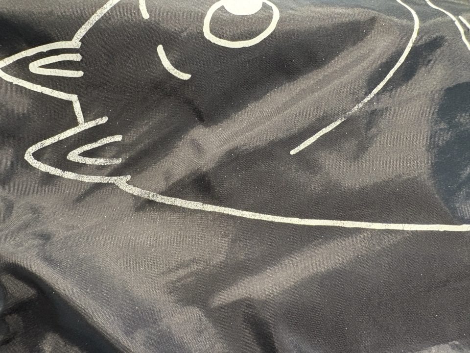 ★鹿児島に引っ越して知った、桜島の火山灰との生活