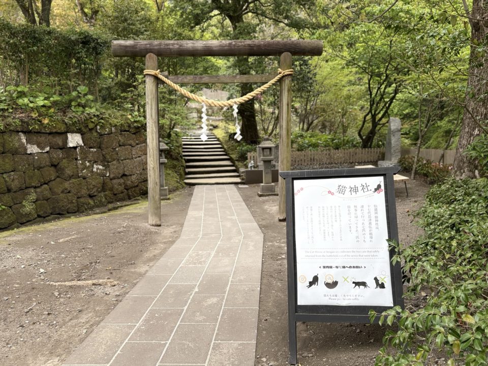 ★「名勝 仙厳園」千尋巌（せんじんがん）、ネコ好きにオススメ！猫神社 写真付きレビュー＠鹿児島旅行