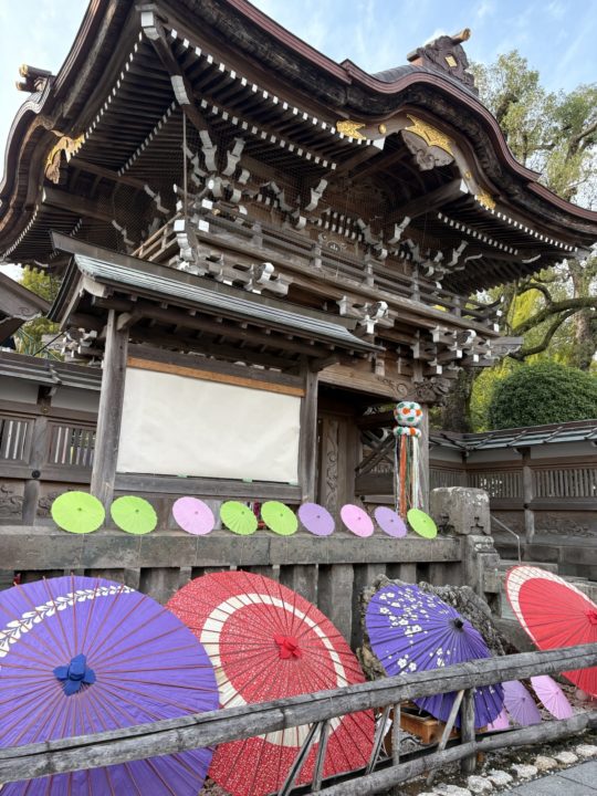 ★おとなもこどもも楽しめるイベント!「くうのむあそぶ 千日夜市」@宮崎県都城市 食事、トイレ、駐車場情報も