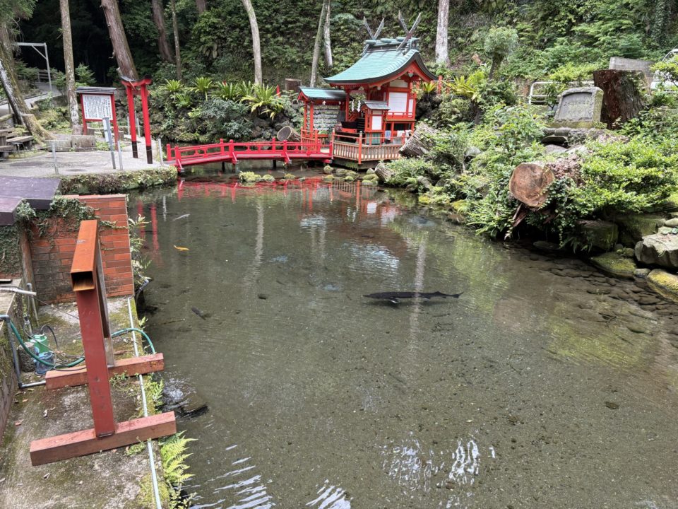 ★めんつゆが有名すぎる「指宿市営 唐船峡 そうめん流し」@鹿児島県 に行って来た!写真付きレビュー
