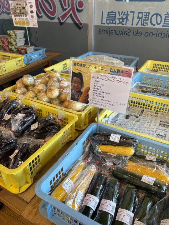 ★「道の駅 桜島 火の島めぐみ館」桜島港フェリーターミナルから歩いていける観光地 鹿児島 写真付きレビュー