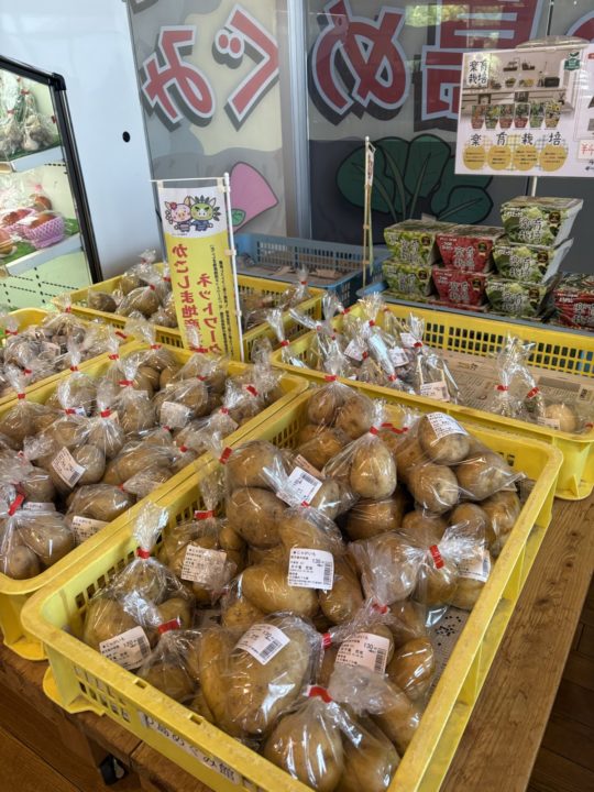 ★「道の駅 桜島 火の島めぐみ館」桜島港フェリーターミナルから歩いていける観光地 鹿児島 写真付きレビュー