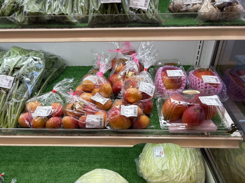 ★「道の駅 桜島 火の島めぐみ館」桜島港フェリーターミナルから歩いていける観光地 鹿児島 写真付きレビュー