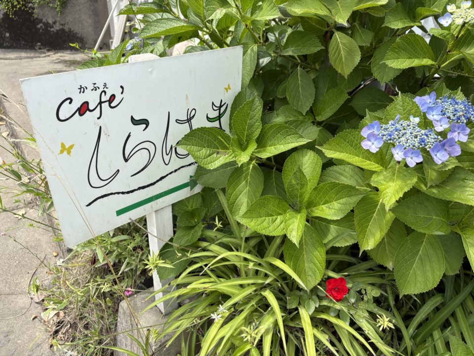 ★桜島オススメカフェランチ!「カフェしらはま」写真付きレビュー 完全オーガニック 鹿児島旅行 おすすめ cafeしらはま