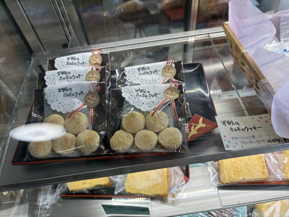 ★桜島オススメカフェランチ!「カフェしらはま」写真付きレビュー 完全オーガニック 鹿児島旅行 おすすめ cafeしらはま