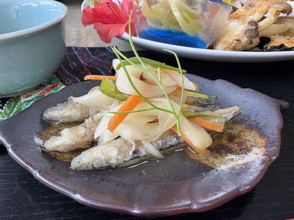 ★桜島オススメカフェランチ!「カフェしらはま」写真付きレビュー 完全オーガニック 鹿児島旅行 おすすめ cafeしらはま