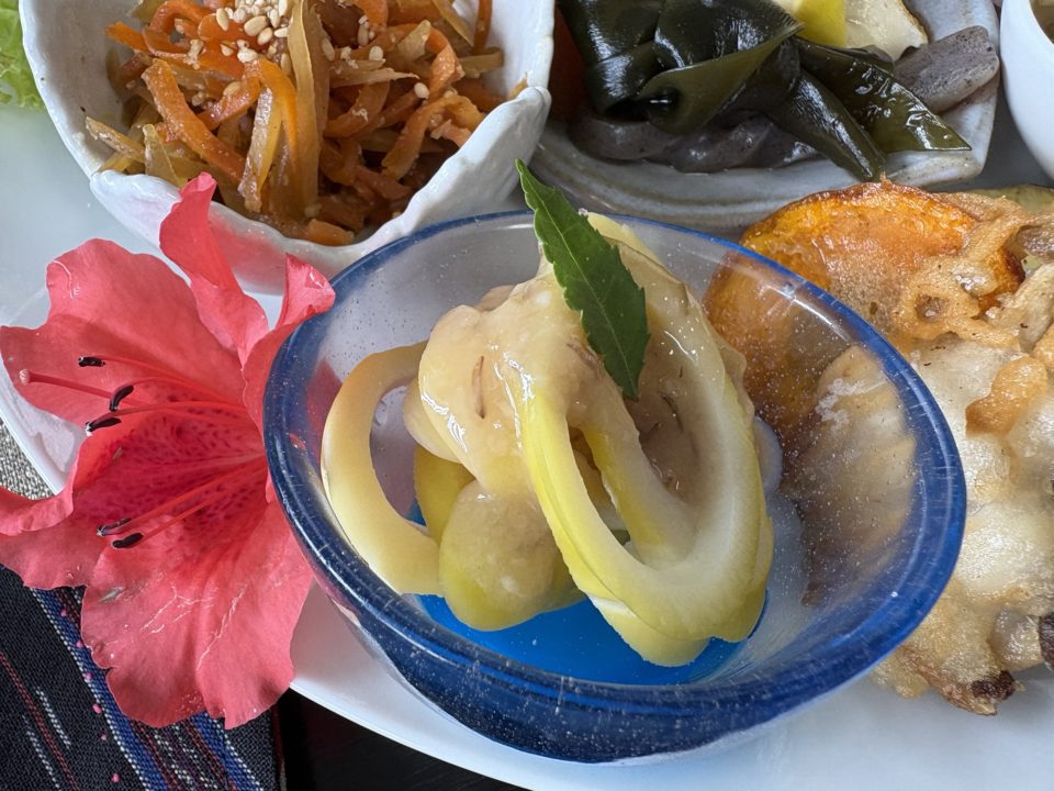 ★桜島オススメカフェランチ!「カフェしらはま」写真付きレビュー 完全オーガニック 鹿児島旅行 おすすめ cafeしらはま